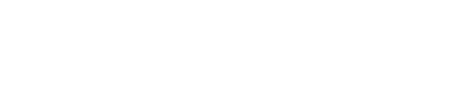 stonex logo
